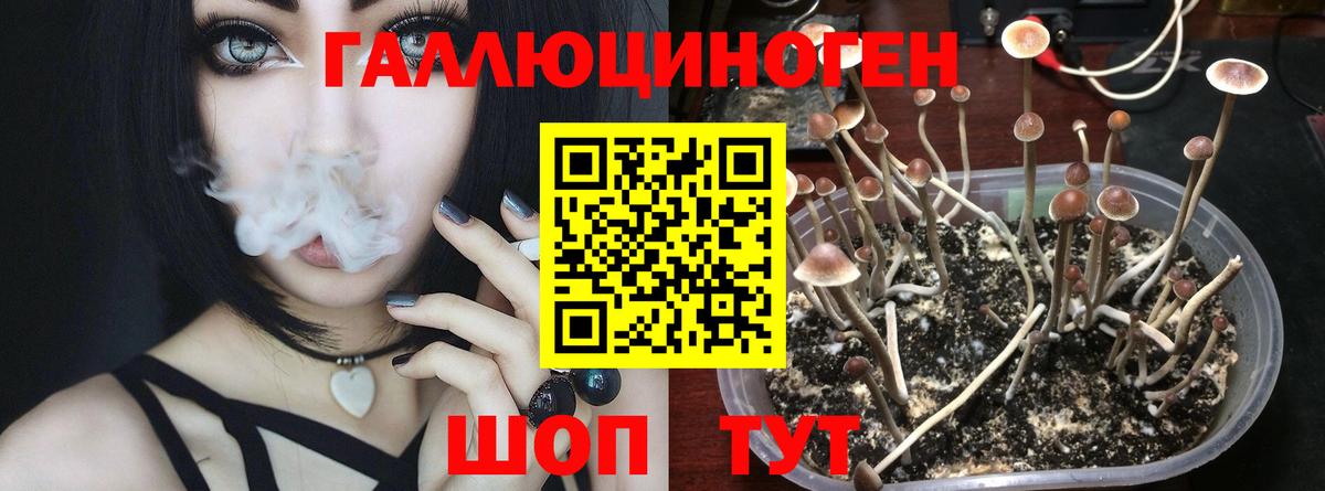 Псилоцибиновые грибы Magic Shrooms Ногинск